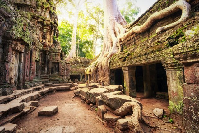 Angkor-Wat-Cambodia.-Ta-Prohm-Khmer-temple