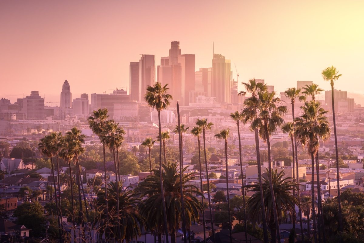 Los Angeles view with palms