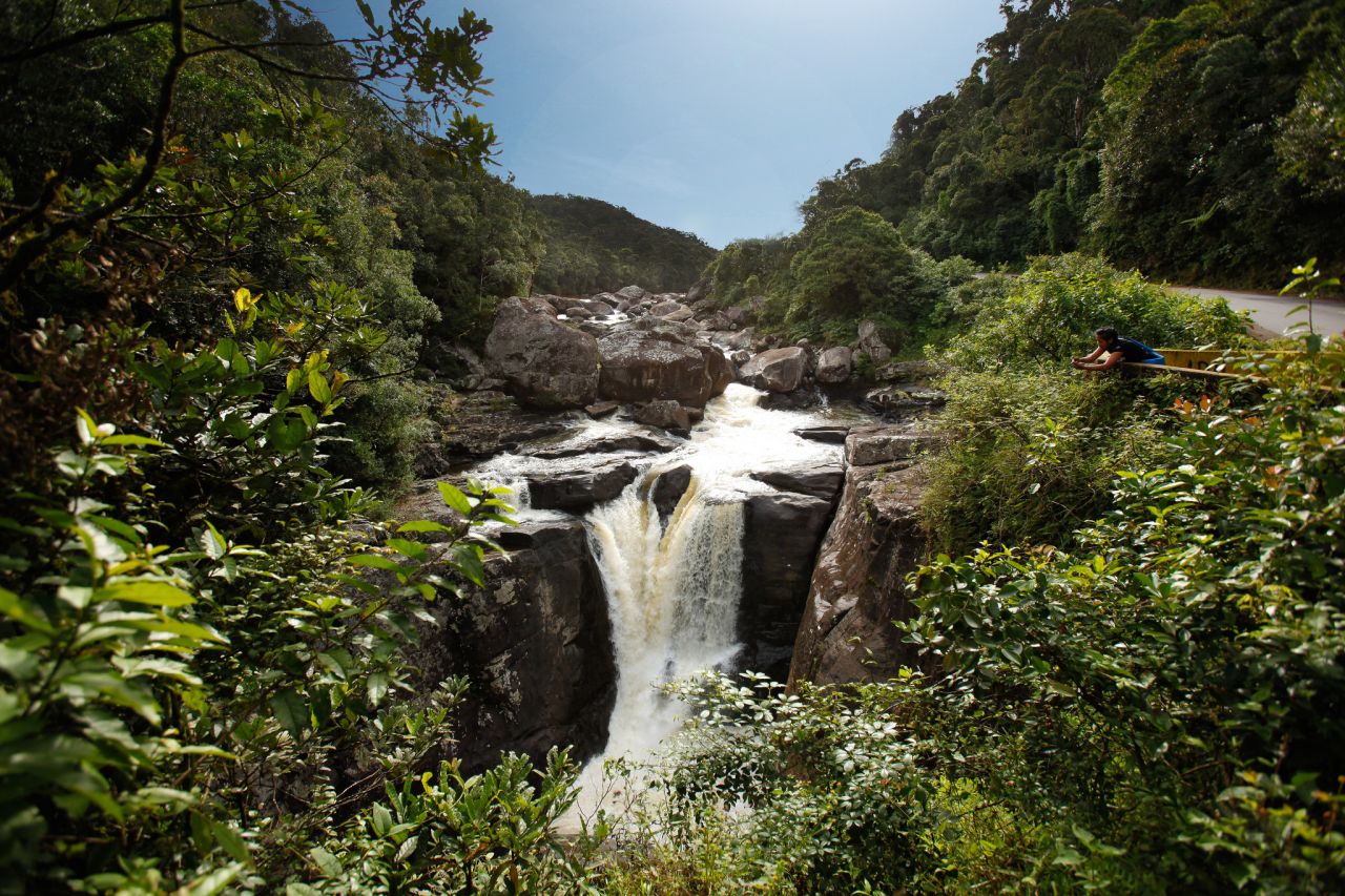 Ranomafana National park