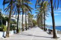 Marbella walk path by the beach with palms along it